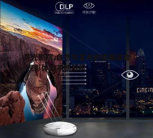 一、月光影院的观影环境