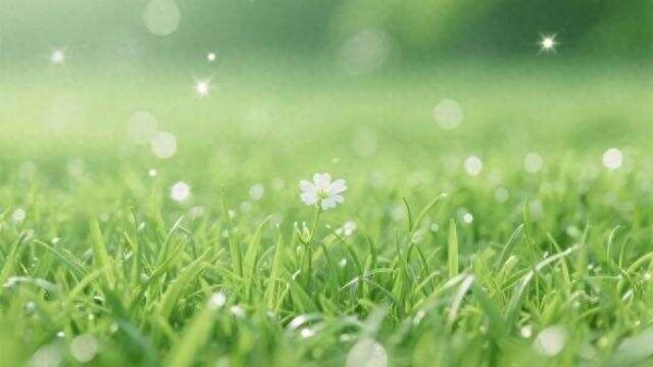 解锁全球公认的超绝健康<a target=