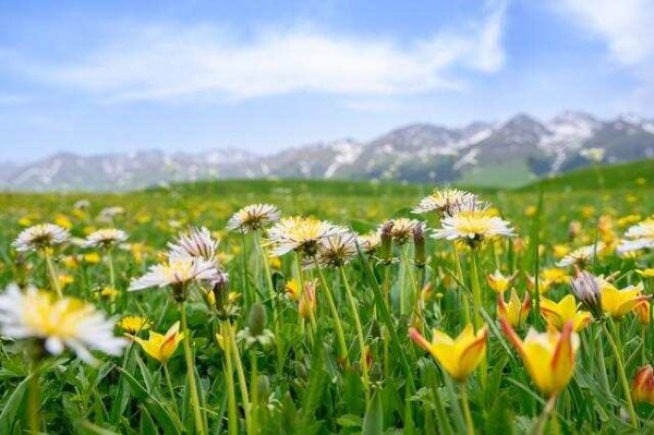 解锁全球公认的超绝健康<a target=