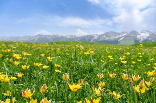 解锁全球公认的超绝健康<a target=