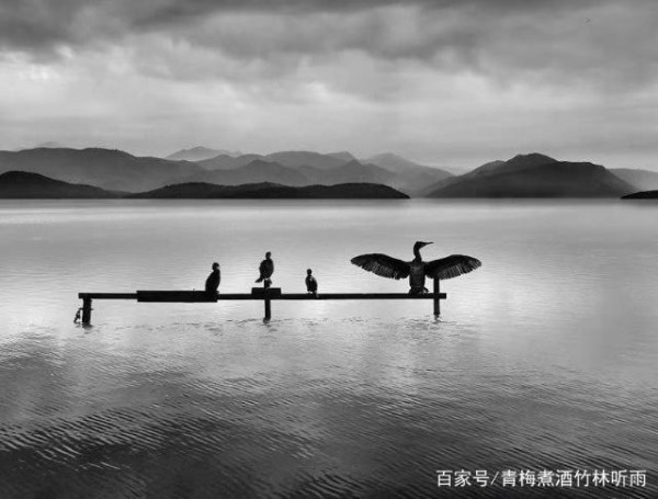 自在随心的短句子:写的超漂亮,读起来是一种精神上的享受!