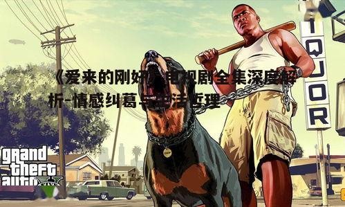 《爱来的刚好》电视剧全集深度解析