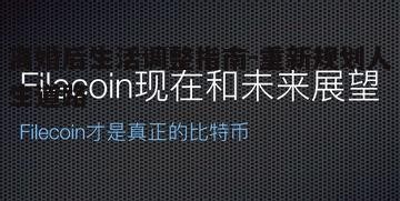 五、情感恢复与未来展望