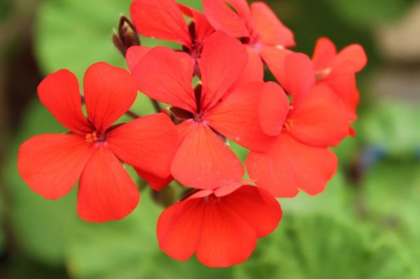 美容美发行业常用英文单词