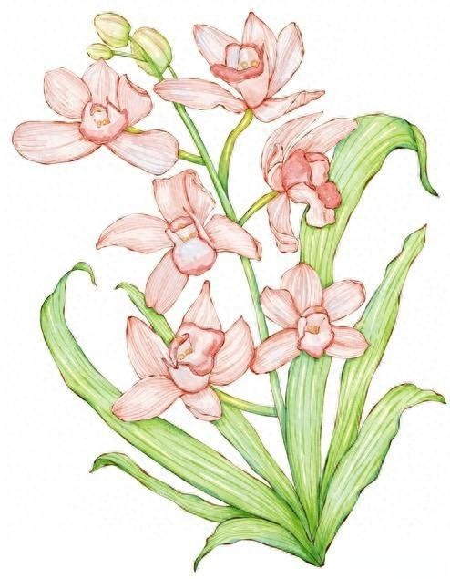 掌握生活节奏:九种放松方式助你重获轻松