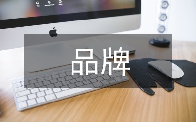电视节目品牌分析论文