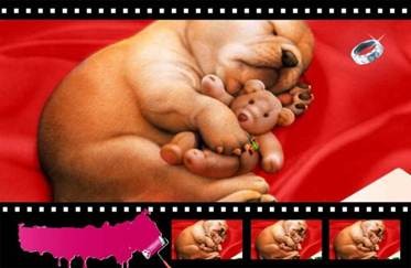 电视节目分析的写法