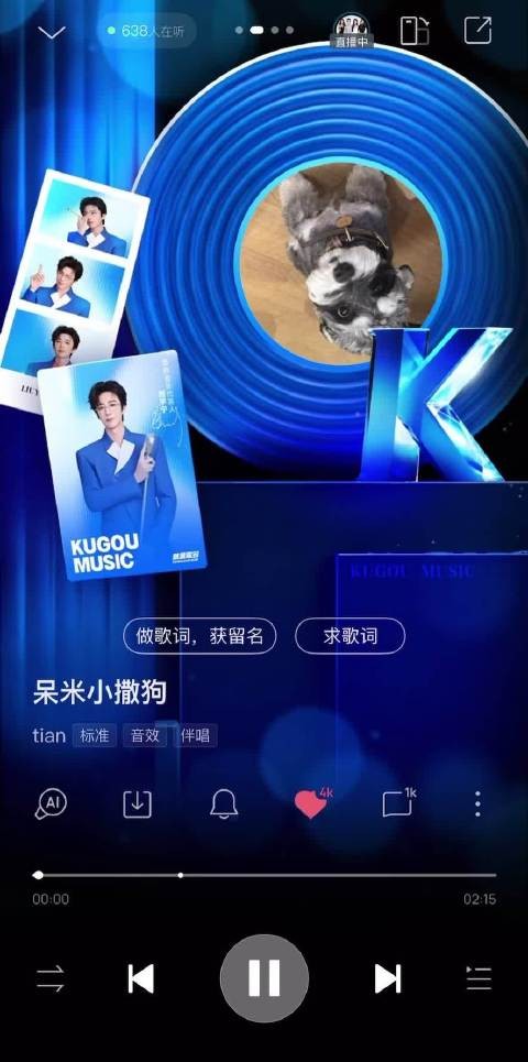 都是谁在听洗脑神曲哈哈哈哈