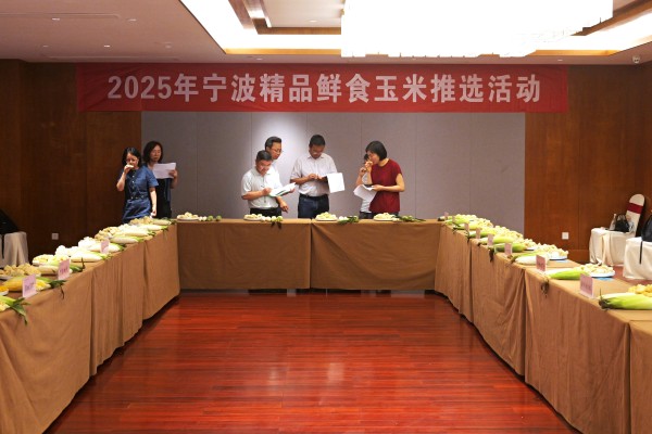 糯香四溢，甬城掀起精品鲜食玉米“选秀热”