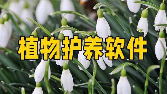 植物护养软件