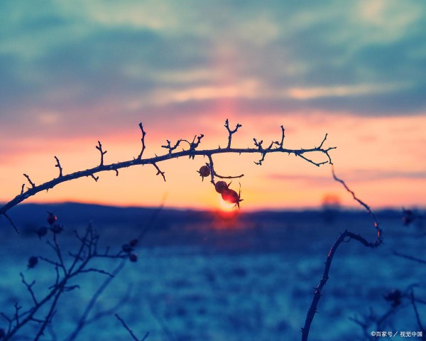 40句富含哲理的励志文案