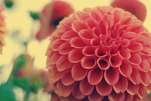 人生道路上励志的句子，选一句送给自己！