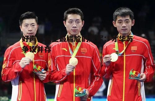 好声音史上最尴尬的冠军：才华与争议并存