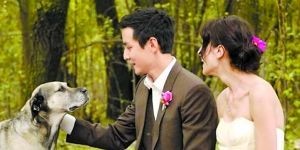 盘点:2010年度娱乐圈的悲喜事