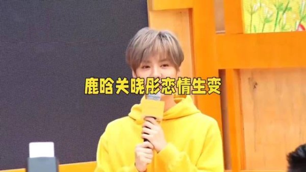 屡传分手!顶流CP“一鹿彤行”七年情断?