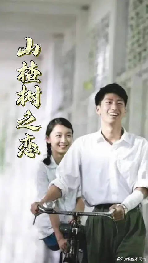 山楂树之恋老三经典台词引回忆