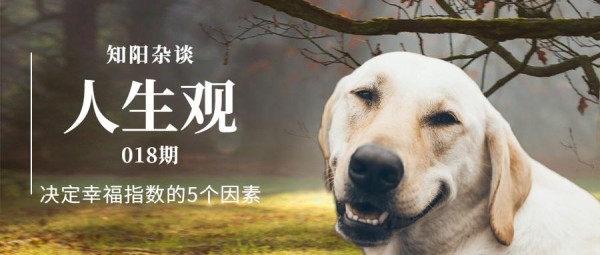 一个人过了三十岁以后,这5个因素,决定了你的幸福指数