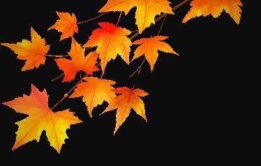 秋季健康应对指南：从气温变化到生活防护的全面策略