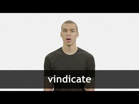 VINDICATE definition in American English