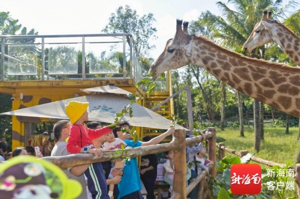 萌兽闹春+展区升级!海南热带野生动植物园春节“上新”