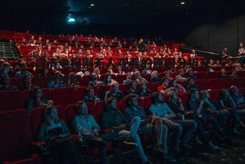 四、观众观影习惯的改变