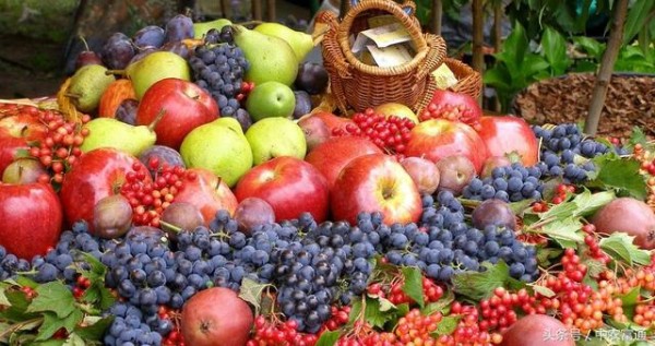 科技新知：果蔬花卉保鲜剂——1