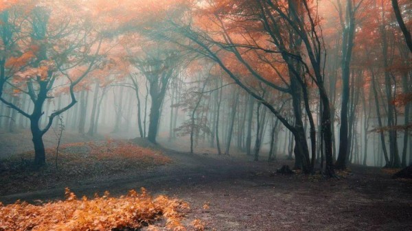 十首最好听的纯音乐，​美到令人窒息！