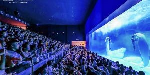 文旅热之际，从海昌海洋公园(2255.HK)再看本土乐园的成长和价值