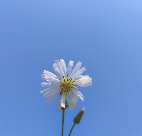 一切靠自己的励志说说,激励人心,越读越给力!