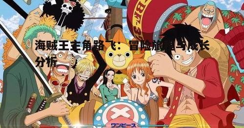 二、路飞的冒险团队