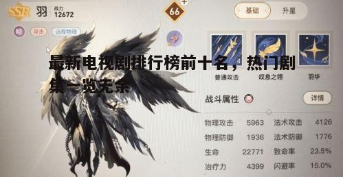 五、排行榜第五名：《隐秘的翅膀》