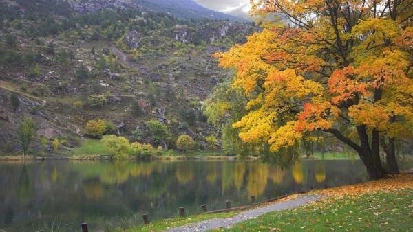 全方面更新#宜春传统手工艺：匠心制作过程