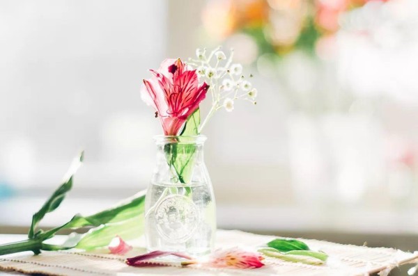 乐观和爱，才是生活的解药