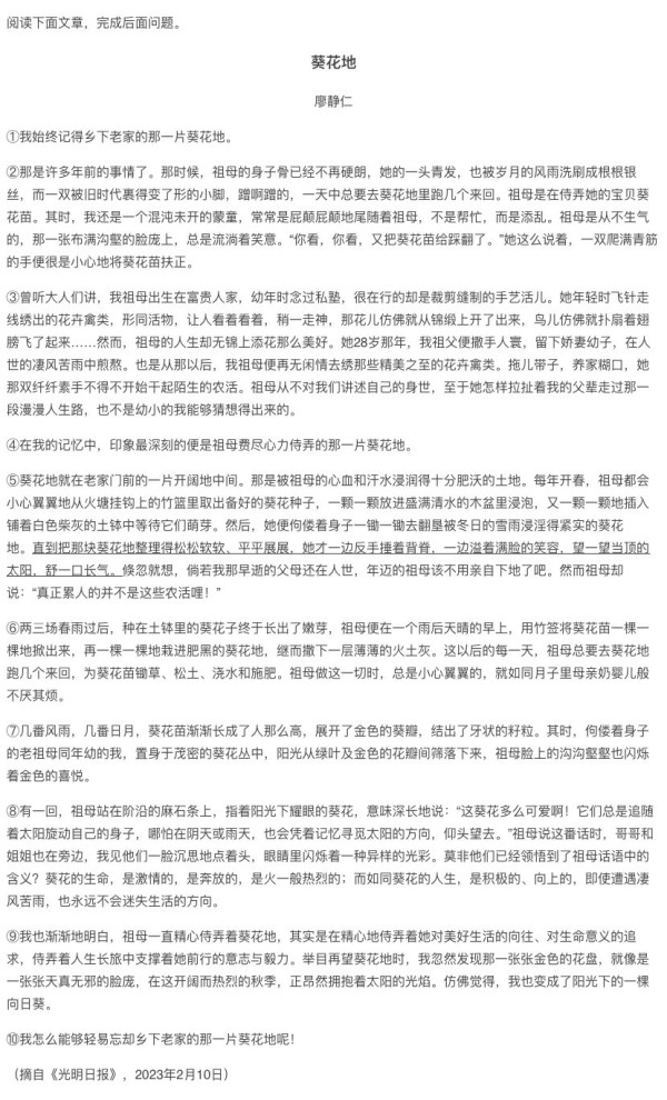 葵花地廖静仁阅读答案