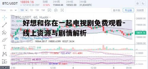 二、剧情概览与亮点分析