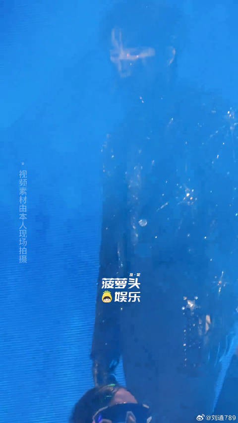 听完shake来听亢奋演唱会 微博VC计划