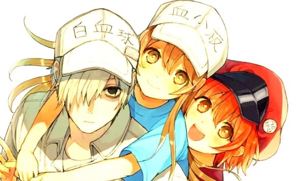 近期热门动漫剖析与思考