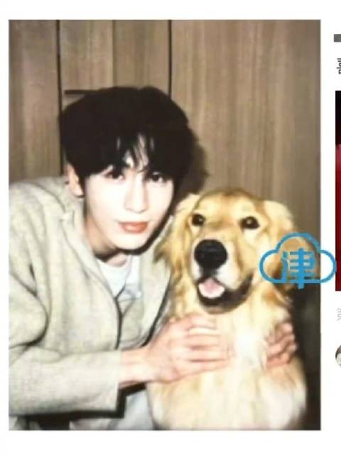 张凌赫1月12日采纳粉丝推荐头像，使用与小狗合照