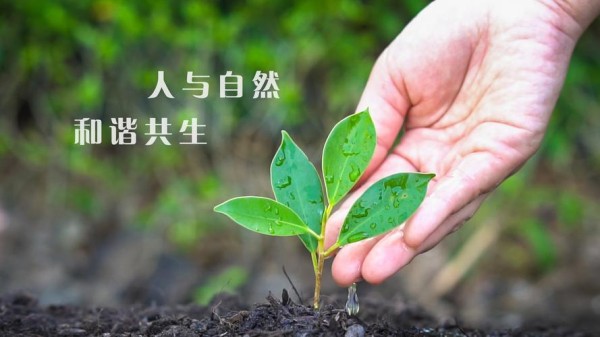 中央电视台精彩节目推荐涵盖新闻、财经与娱乐