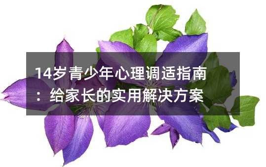 14岁青少年心理调适指南:给家长的实用解决方案