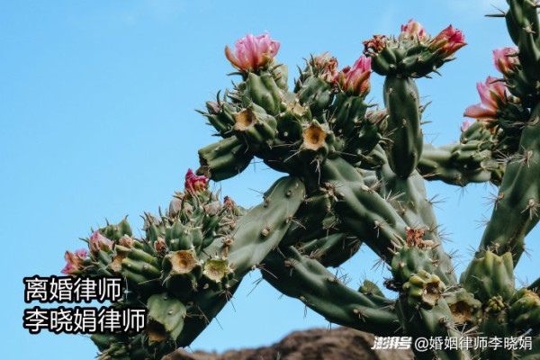 如何规划家庭财富？