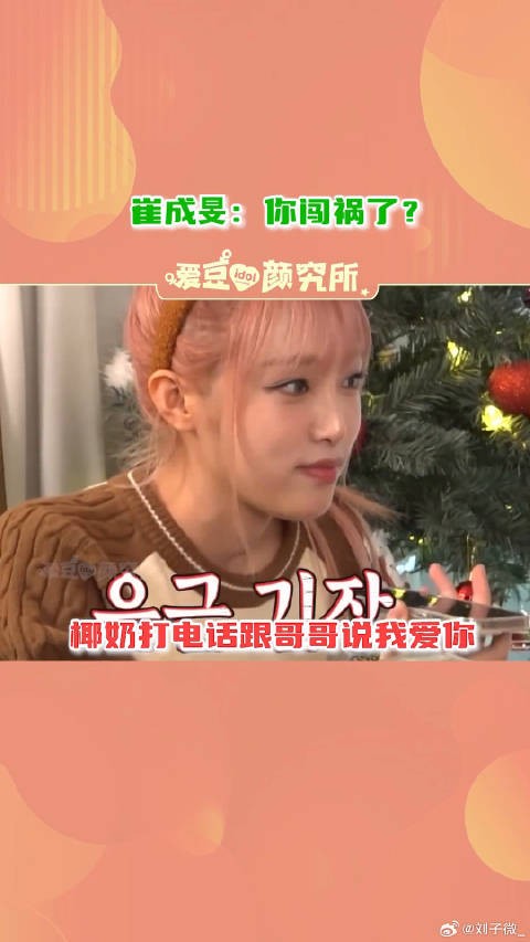 会出现在现实兄妹间的对话崔叡娜