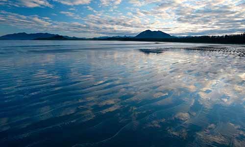 新西兰生活怎么样,日常习惯与国内有哪些不同?