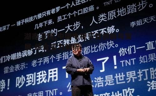 三、湖南卫视对电视行业的贡献