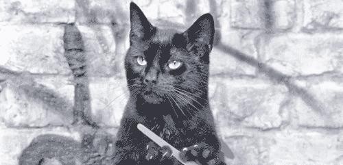 学无止境与人生智慧的哲思