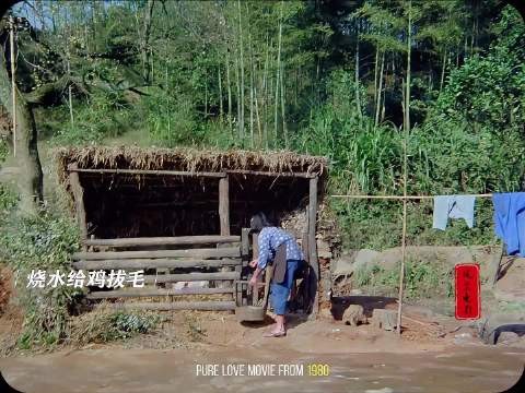 80年代的经典电影,寡妇冲破世俗追求幸福