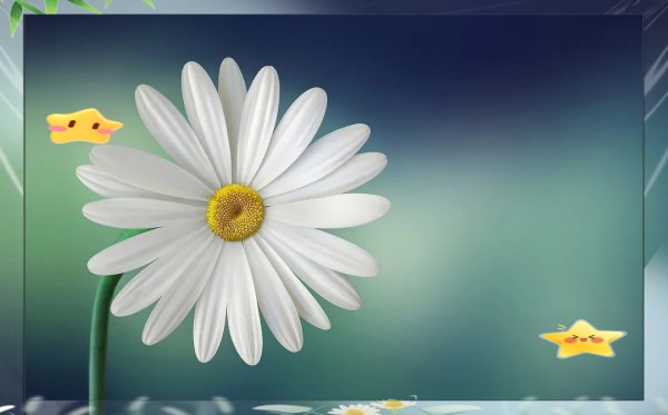 深情与考验：五段动人心弦的情感故事