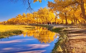 伊春游记图文-8个到了十月就颜值爆表的地方，错过就是一年！