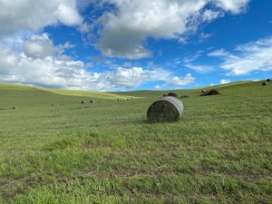 伊春游记图文-森林，火山，草原，东北向南，行走的8月