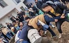 合川杀猪宴火了，人山人海，呆呆这下自己真的呆了。